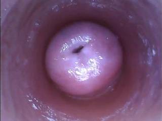 Порно втроем красиво